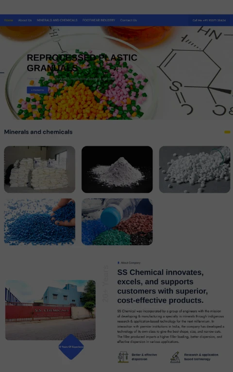SS Chems Website project image